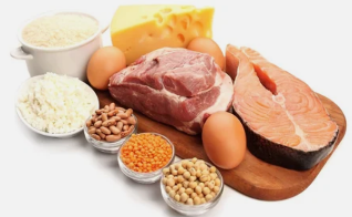 Vorteile der Ernährung auf Proteine